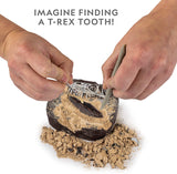 Dinosaur Fossil Dig Kit