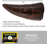 Dinosaur Fossil Dig Kit