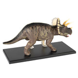 Assembled 4D Triceratops model on base from the right side which shows only the exterior/skin view.