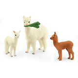 White adult alpaca has the leaf in its mouth while the white and brown baby alpacas stand by.