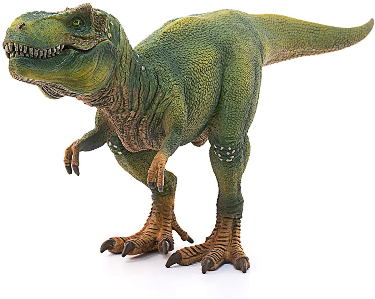 Tyrannosaurus rex - Green – The Children's Museum of Indianapolis