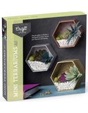 Mini Terrariums Kit