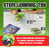 Dissect It Frog Super Lab