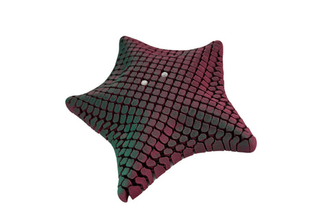 3D Articulated Starfish