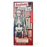 Anatomy stamp set box.