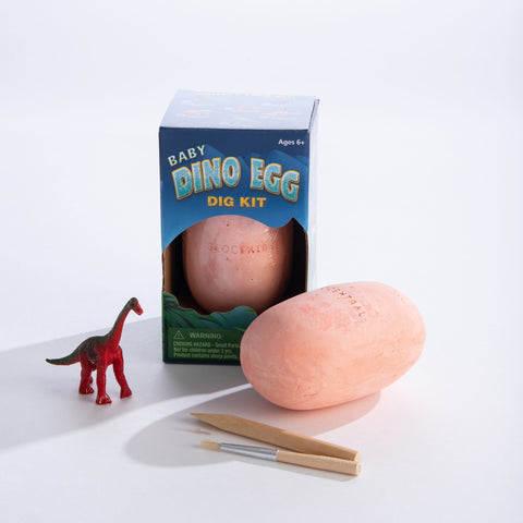 Baby Dino Egg Dig Kit