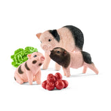 Miniature Pig Mother & Piglets