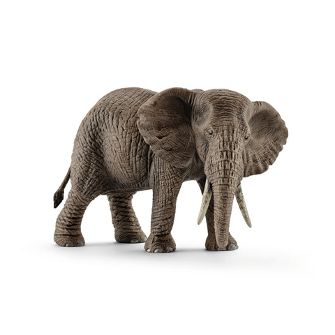 Model of African Elephant female from the front right.  Exceptional detail in painting and sculpting show off the deep groves and lines in the elephant's skin.  