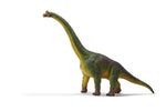 Brachiosaurus - Large